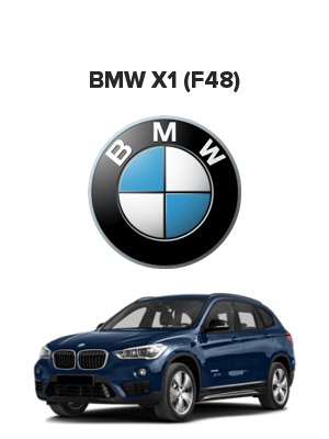 BMW X1 (F48) (БМВ х1 ф48) xDrive 25i (231 лс)