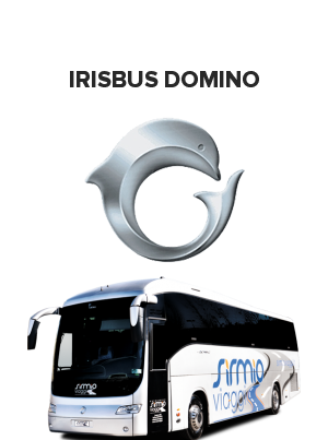 Irisbus Domino (Ирисбас домино)