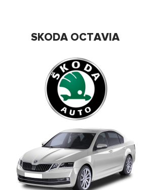 Skoda Octavia (Шкода октавия) 2.0  (115 лс)