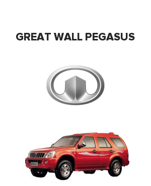 Great Wall Pegasus (Грейт вол пегасус) 2.2i (105 лс)