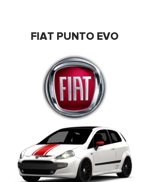 Fiat Punto Evo (Фиат пунто эво)