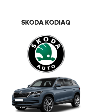 Skoda Kodiaq (Шкода кодиак)