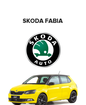 Skoda Fabia (Шкода фабия) 1.4  (75 лс)
