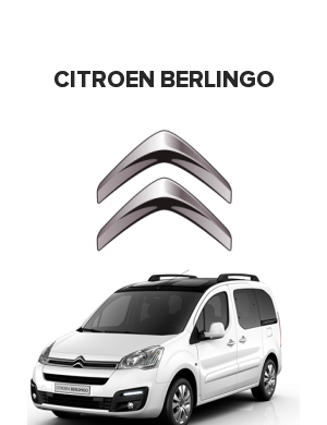 Citroen Berlingo (Ситроен берлинго)